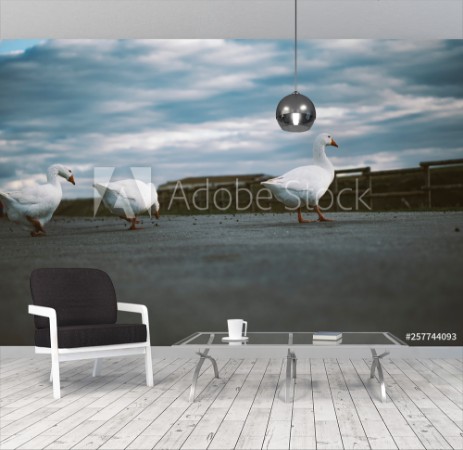 Picture of Gansos cruzando la carretera